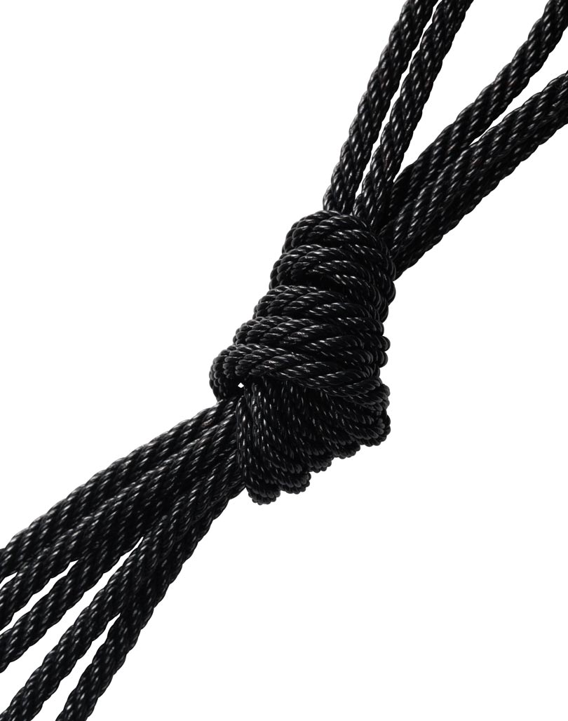 Lightspeed Zulu 3: GA Dual Plugs, Straight Cable
